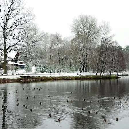 Apartament Art Druskieniki