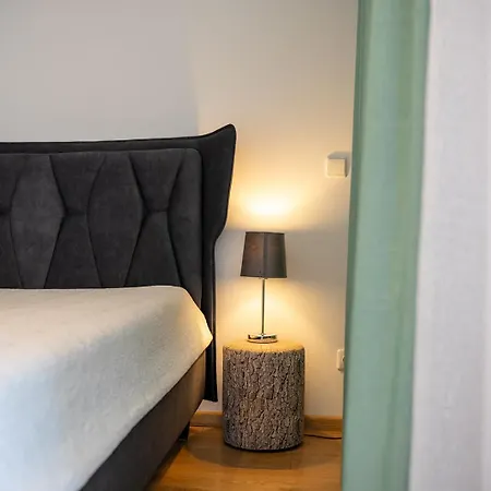 Art Apartman Druskininkai