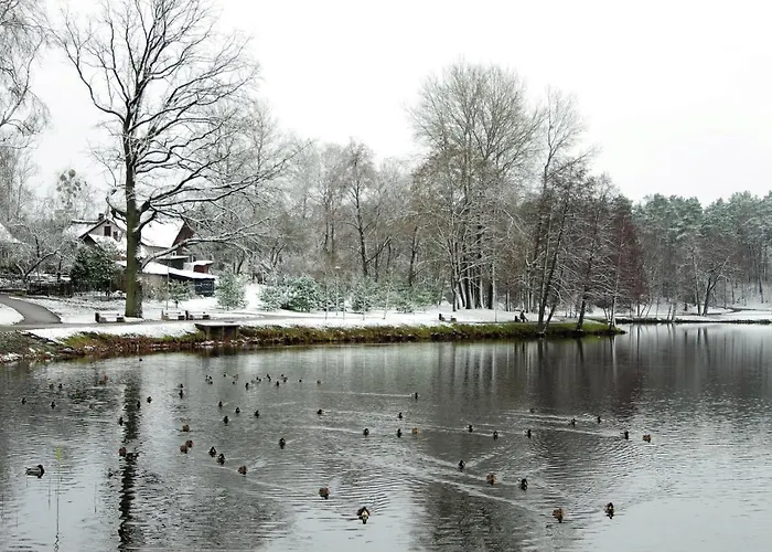 Apartament Art Druskieniki